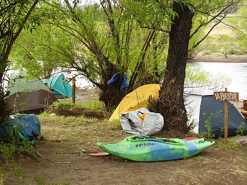 Carpas bajo los árboles a orillas del río Aluminé, Piedras Verdes, Aluminé